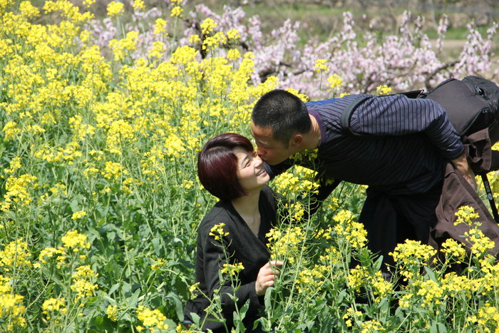 三聚桃花源