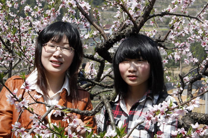 三聚桃花源