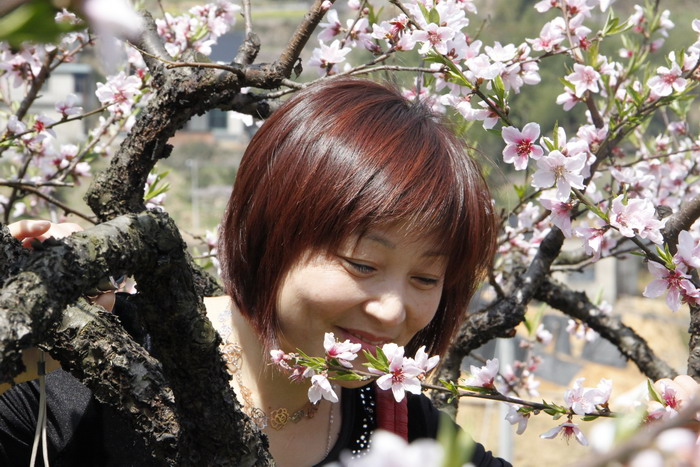 三聚桃花源