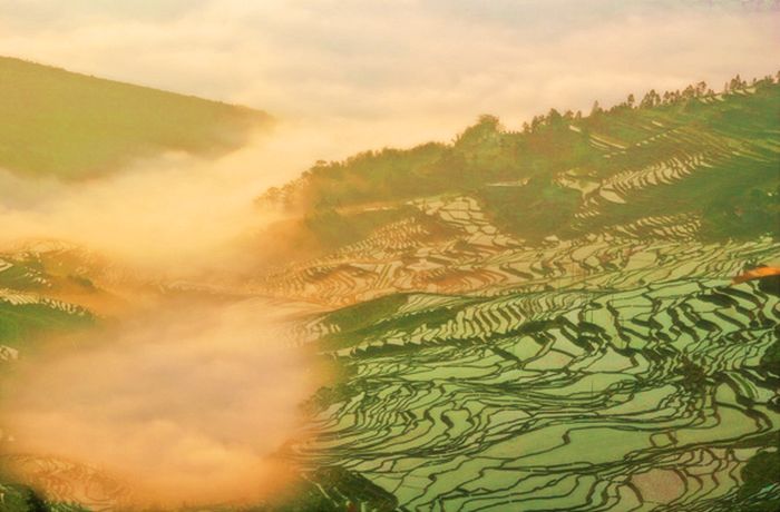 [原创摄影]联合梯田（2）