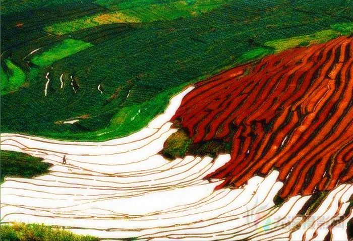 [原创摄影]联合梯田（2）
