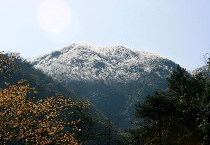 【原创】加明虎年摄影专辑 (不断增添中)