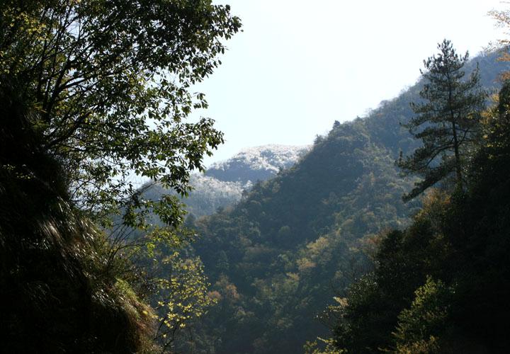 【原创】加明虎年摄影专辑 (不断增添中)