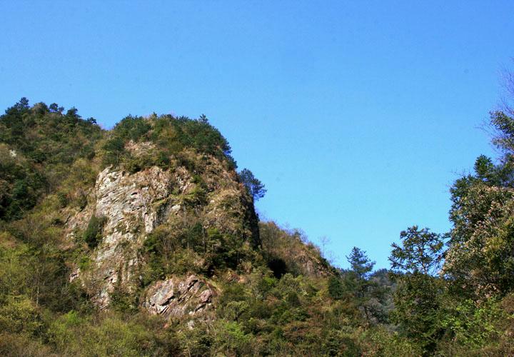 【原创】加明虎年摄影专辑 (不断增添中)