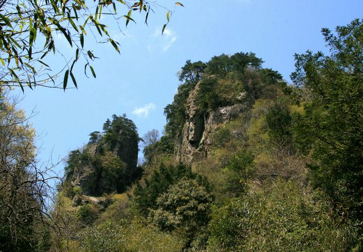 【原创】加明虎年摄影专辑 (不断增添中)