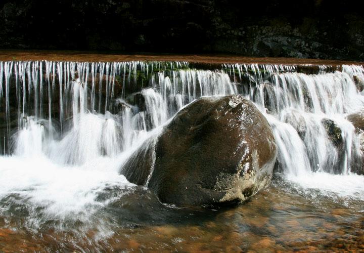 【原创】加明虎年摄影专辑 (不断增添中)