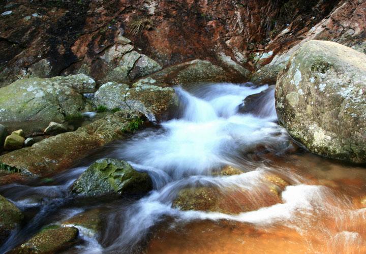 【原创】加明虎年摄影专辑 (不断增添中)