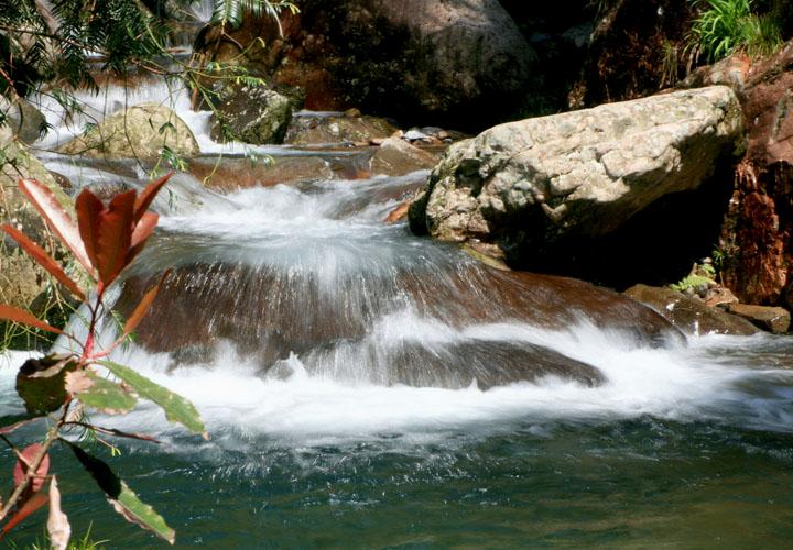 【原创】加明虎年摄影专辑 (不断增添中)