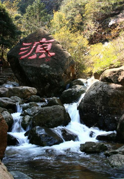 【原创】加明虎年摄影专辑 (不断增添中)