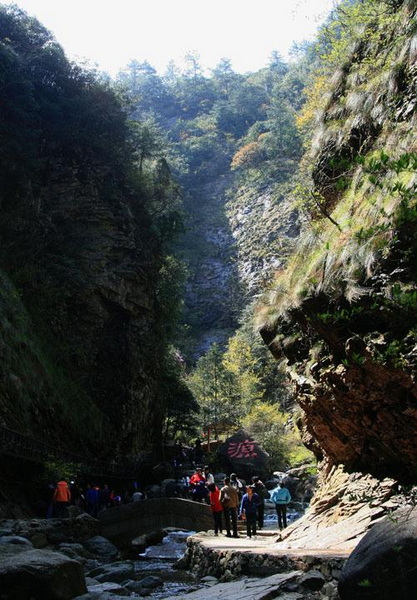 【原创】加明虎年摄影专辑 (不断增添中)