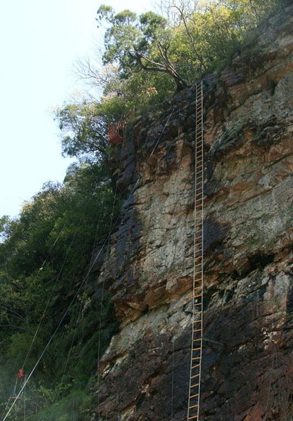 【原创】加明虎年摄影专辑 (不断增添中)