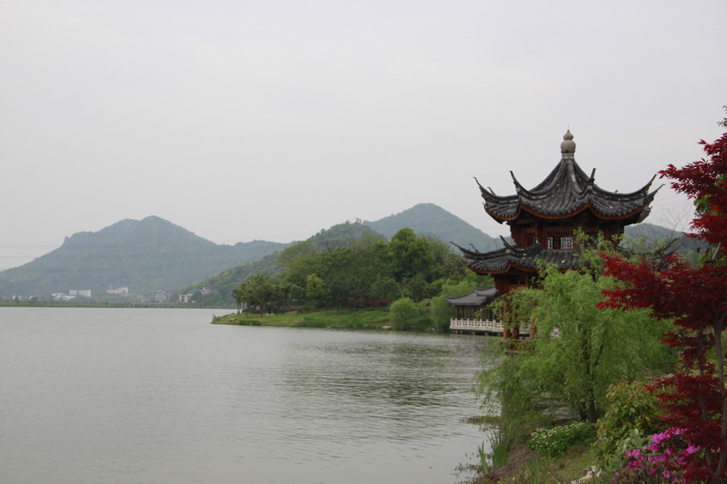 杭州肝友，咖啡或者茶。