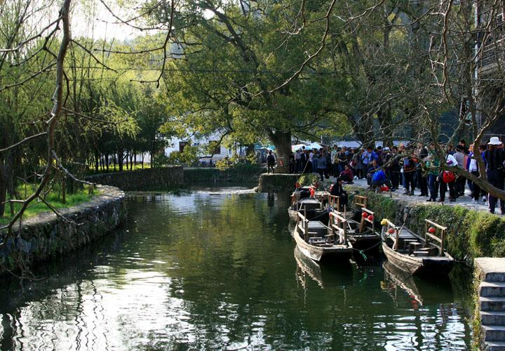 【原创】加明虎年摄影专辑 (不断增添中)