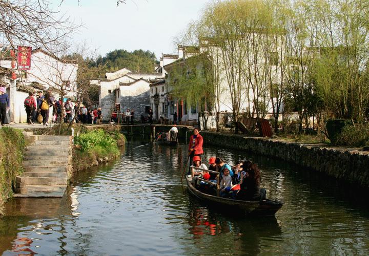 【原创】加明虎年摄影专辑 (不断增添中)