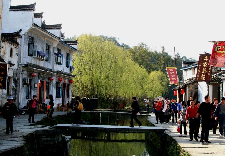 【原创】加明虎年摄影专辑 (不断增添中)