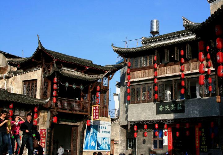 【原创】加明虎年摄影专辑 (不断增添中)