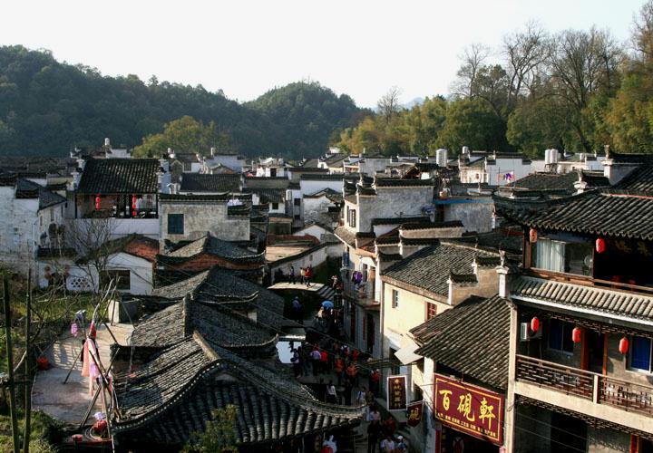 【原创】加明虎年摄影专辑 (不断增添中)