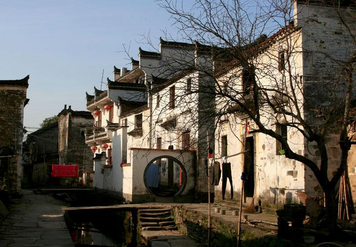 【原创】加明虎年摄影专辑 (不断增添中)