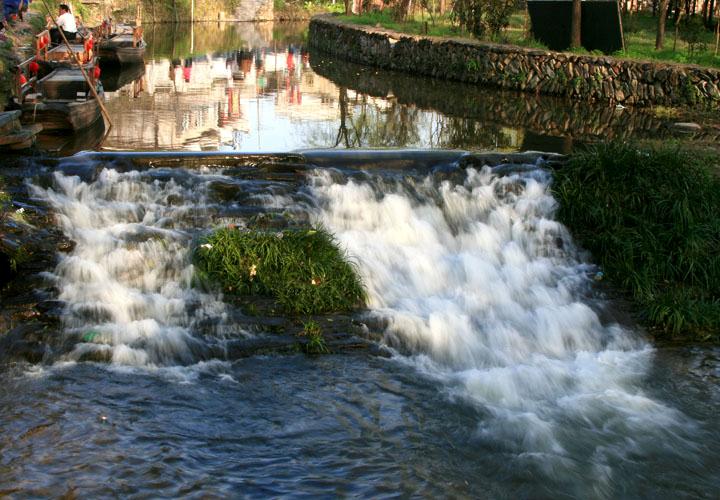 【原创】加明虎年摄影专辑 (不断增添中)