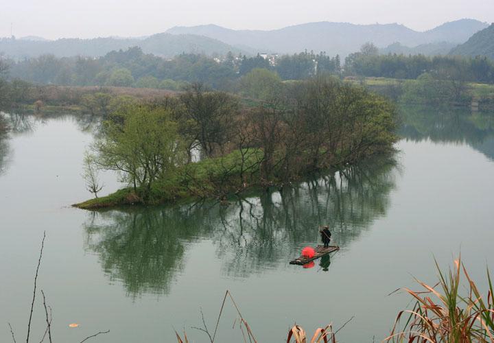 【原创】加明虎年摄影专辑 (不断增添中)