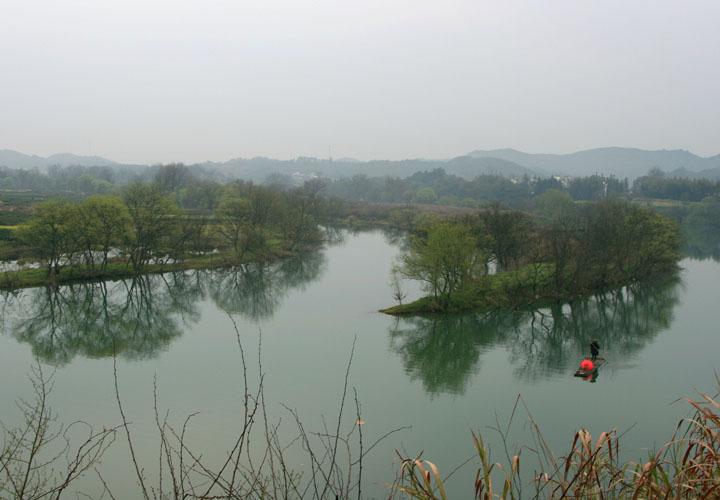 【原创】加明虎年摄影专辑 (不断增添中)