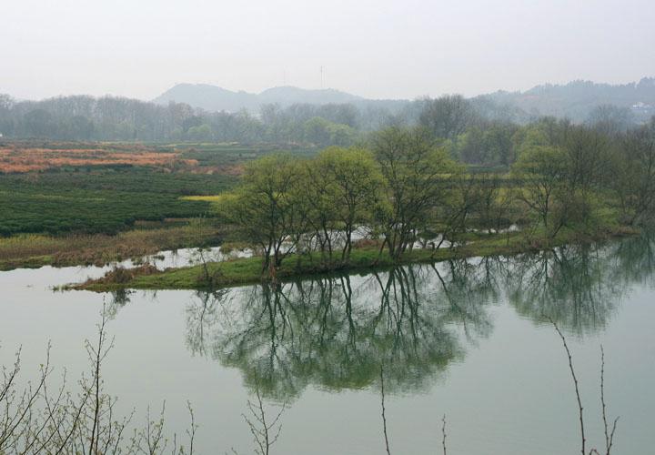 【原创】加明虎年摄影专辑 (不断增添中)