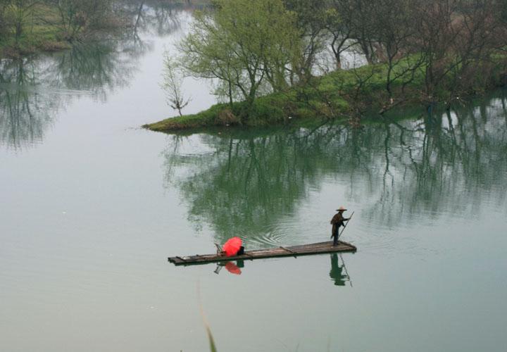【原创】加明虎年摄影专辑 (不断增添中)