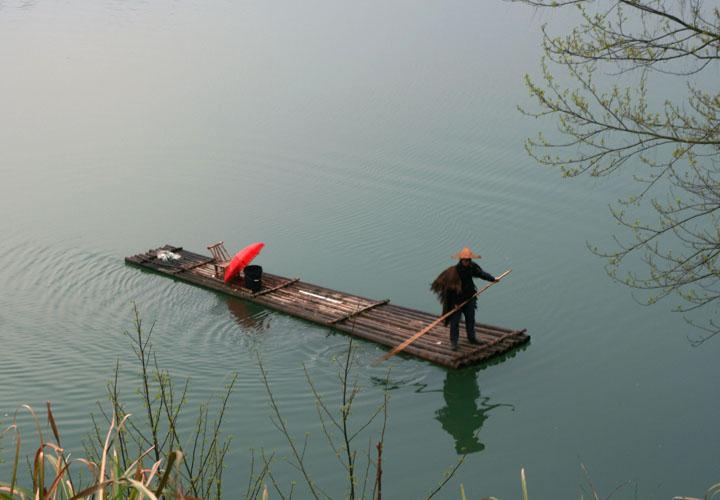 【原创】加明虎年摄影专辑 (不断增添中)