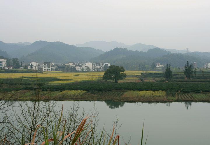 【原创】加明虎年摄影专辑 (不断增添中)