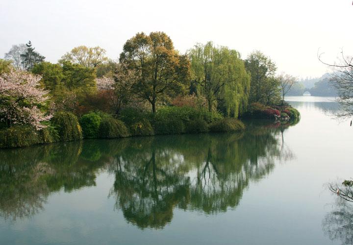 【原创】加明虎年摄影专辑 (不断增添中)