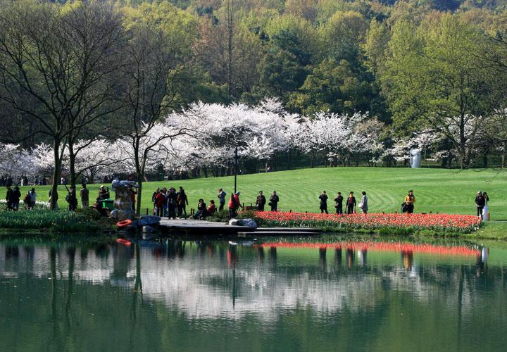 【原创】加明虎年摄影专辑 (不断增添中)