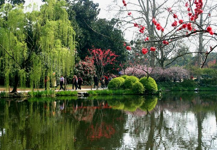 【原创】加明虎年摄影专辑 (不断增添中)