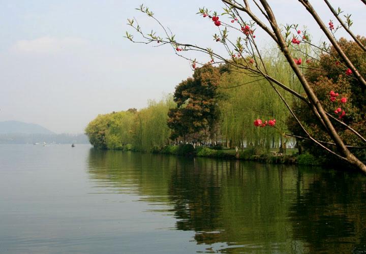 【原创】加明虎年摄影专辑 (不断增添中)