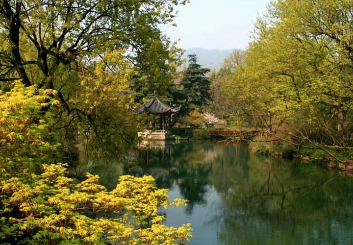 【原创】加明虎年摄影专辑 (不断增添中)