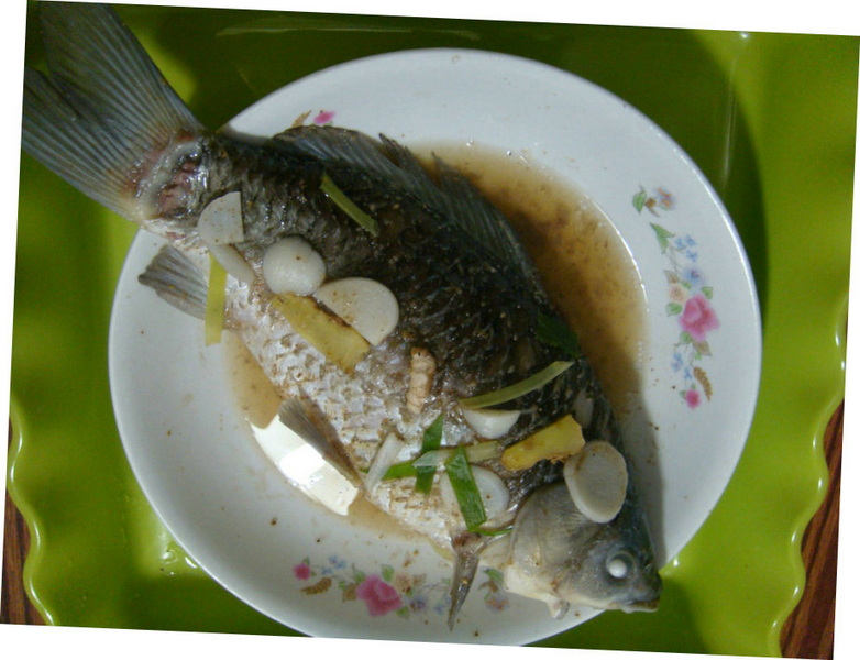 看看我做的菜