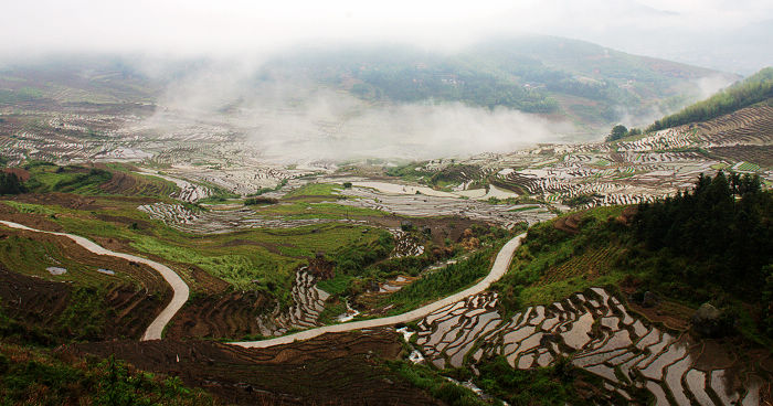 雨中的联合梯田（2）