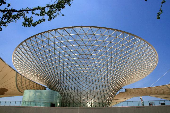 【原创】加明虎年摄影专辑 (不断增添中)