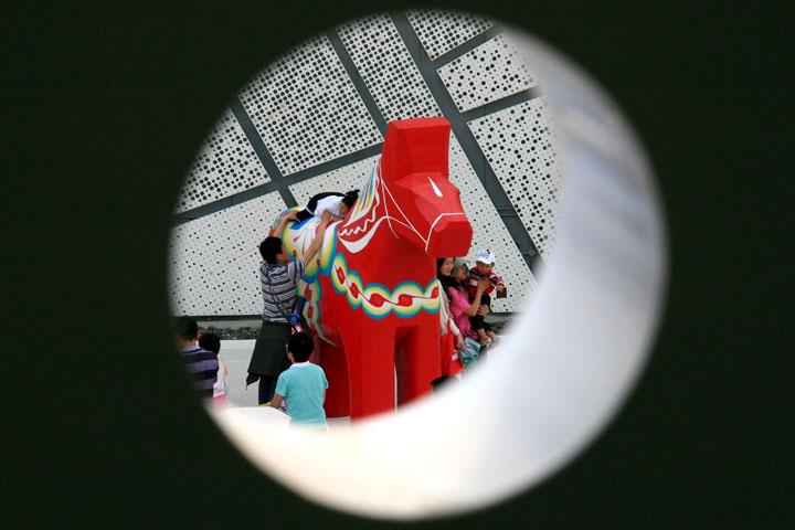 【原创】加明虎年摄影专辑 (不断增添中)