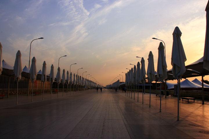 【原创】加明虎年摄影专辑 (不断增添中)