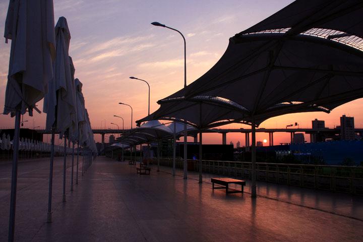 【原创】加明虎年摄影专辑 (不断增添中)