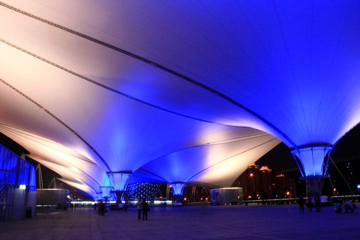 【原创】加明虎年摄影专辑 (不断增添中)