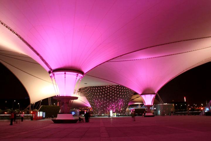 【原创】加明虎年摄影专辑 (不断增添中)