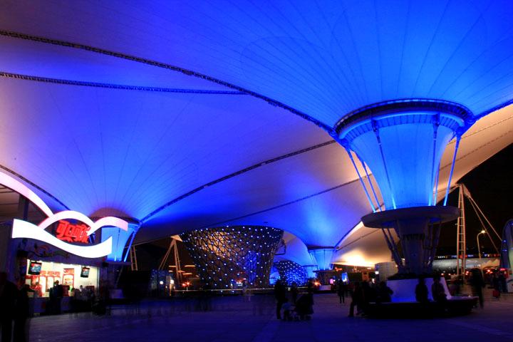 【原创】加明虎年摄影专辑 (不断增添中)