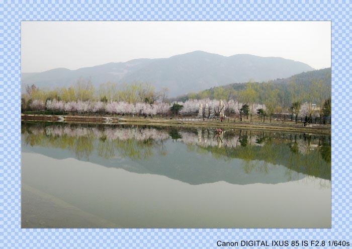 2010春光
