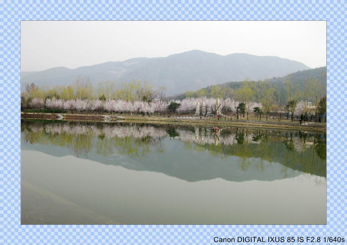 2010春光