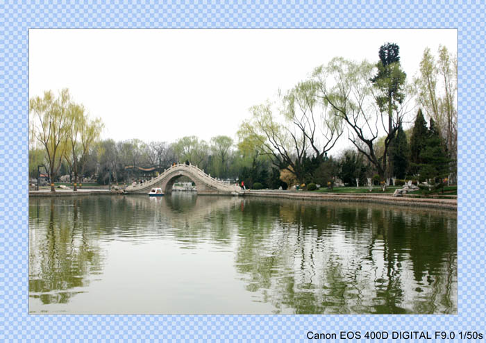 2010春光