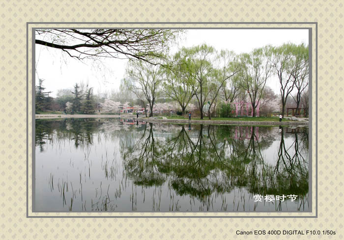 2010春光