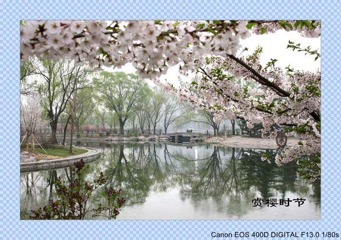 2010春光