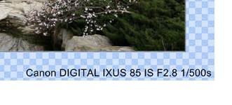 NOg04qJv.jpg