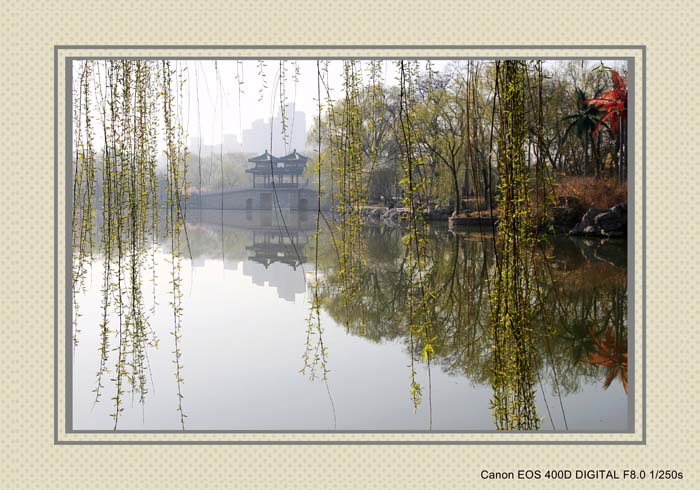 龙潭湖小景